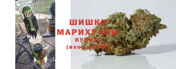 гашик Вязьма