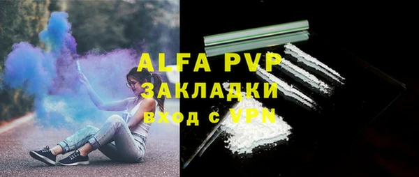 гашик Вязьма